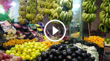 أسعار الخضروات والفاكهة اليوم الجمعة 20 أبريل 2024 في سوق العبور والأسواق