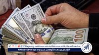 الآن”│استقرار أسعار الدولار مقابل الجنيه المصري في البنوك المصرية – أحداث اليوم