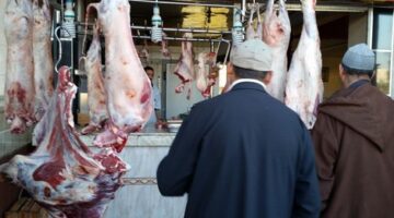 تجار الجملة في اللحوم الحمراء يتوقعون مزيدا من الغلاء بسبب الإجراءات الحكومية – اليوم 24