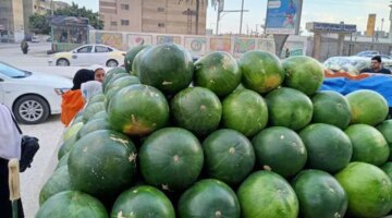 «شعبة الفاكهة»: لدينا اكتفاء ذاتي من البطيخ.. وتراجع كبير في الأسعار قريبا – اقتصاد