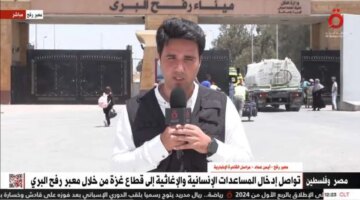 «القاهرة الإخبارية»: عبور 203 شاحنات محملة بالمساعدات إلى قطاع غزة – أخبار العالم